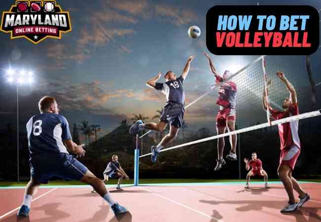 How to bet on volleyball in Maryland